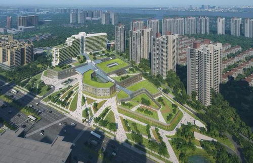 同頻共振融入 十四五 融僑集團(tuán)堅(jiān)定以 醫(yī)食住教 服務(wù)美好生活